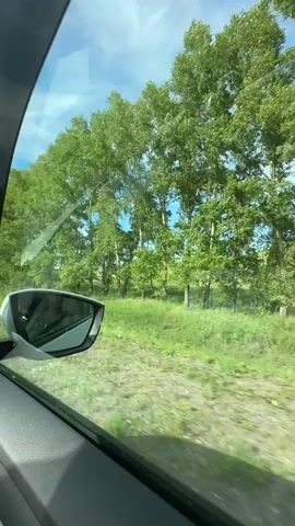 This media file captures a view from inside a vehicle, looking out the passenger side window. The primary subjects are the lush green trees and grass that line a roadside. The scene suggests a rural or natural setting, consistent with the provided location context of Karasuk, Russia.

The activity taking place is a journey, as indicated by the motion blur of the landscape and the presence of a car's side mirror. The time of day appears to be daytime, with bright sunlight illuminating the scene and a clear blue sky with some wispy clouds. The weather seems pleasant, conducive to travel.

Notable details include the vibrant green foliage of the trees, which appear to be deciduous, and the tall grass that covers the ground. The car's interior, specifically the door panel and the side mirror, are visible in the foreground and side, anchoring the perspective. The side mirror reflects a distorted image of the interior and the sky. There is no visible text within the media file. The overall emotion conveyed is one of peaceful travel through a scenic, natural environment.