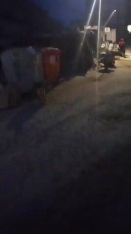 The video depicts a dog in a dimly lit outdoor environment. The dog, light brown and grey in color, is standing on a dark surface that could be asphalt or concrete. There is a red trash container visible in the background, along with another container that is gray. The scene appears to be set at night or in very low light conditions. The dog is standing still, looking toward the camera.