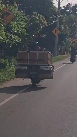 A motorcycle is captured from behind on a paved road, carrying a large, rectangular wooden cargo box secured on its back. The box is strapped down with ropes. On either side of the cargo box, attached to the motorcycle's frame, are two large woven baskets. Two people are visible inside the wooden box. The motorcycle is moving forward, and another motorcycle with a rider is visible in the distance on the same road. A traffic sign indicating a speed limit of 40 km/h is mounted on a pole to the right of the road. Trees and vegetation line the sides of the road. The sky is bright, suggesting daylight.