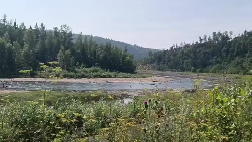 The video shows a wide, shallow river with several people in kayaks or small boats. The riverbanks are lined with lush green vegetation, including tall grasses and trees. In the background, a dense forest covers rolling hills under a clear, blue sky with a few scattered clouds. The overall scene is peaceful and depicts a natural landscape during the daytime. The camera pans slowly across the river and surrounding scenery.