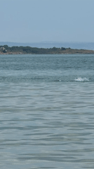 Summer morning along the Sozopol coastline, sea and shore