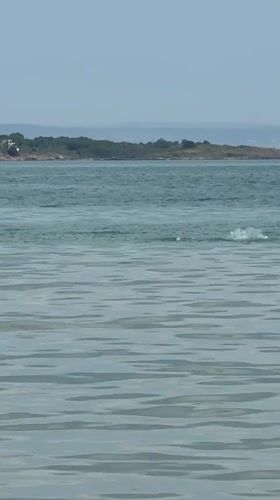 Summer morning along the Sozopol coastline, sea and shore