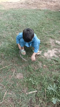 Rural boy documented doing farm work in Pakistan village