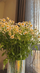 Home interior with flowers, city sunset view documented