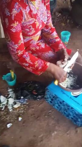 A medium shot shows a woman with yellow dreadlocks pulled into a bun. She is wearing a red and pink floral dress and is seated on the ground. She is holding a small, white vegetable in her left hand and a knife in her right hand. She is peeling the vegetable into a dark brown bowl in front of her. To her right, a black bag with white objects can be seen, and a blue bucket is also visible. In the background to her right, a generator is visible. To her left, a white chair and a white plastic container can be seen. The ground is made of dirt. The woman looks at the camera at one point and then resumes peeling the vegetable.
