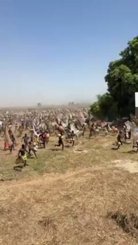 The video shows a large crowd of people gathered in a field under a clear, blue sky. The field appears dry and grassy. Many people are wearing traditional clothing, with some carrying drums and others carrying nets. There is a noticeable amount of dust in the air, partially obscuring the background. Some individuals are running, and the overall impression is one of a lively and possibly ceremonial event. A large tree stands on the right side of the frame, providing a visual landmark.