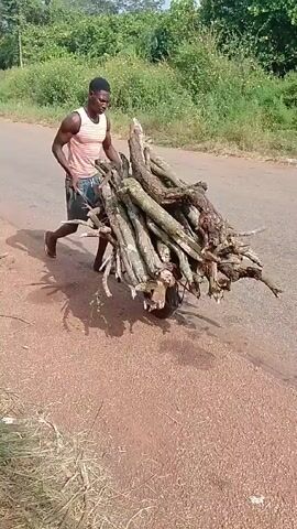 A man in a pink and white striped tank top and dark shorts is pushing a wheelbarrow filled with logs along a road. He is wearing sandals. There is green vegetation on either side of the road, and a blue and white vehicle is parked on the side of the road in the distance. There is trash on the side of the road.