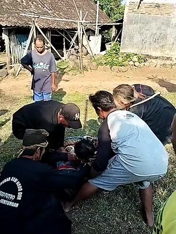 The video depicts a group of men surrounding a person lying on the grass. The person is dressed in a colorful costume, possibly for a performance. The men are assisting them, seemingly checking their condition. One man in a black shirt is kneeling and appears to be examining the person's torso. Another man is holding their head steady. Other people stand nearby observing the scene. The environment appears to be an outdoor, grassy area, possibly a yard or field. The scene suggests a situation where someone needs assistance after a performance.