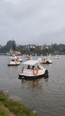 Swan paddle boats drift peacefully on Da Lat lake