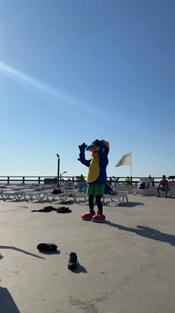 Ferragosto pool day at two Sicilian resorts, parrot mascot included