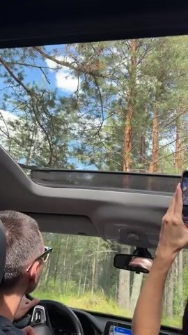 The video begins with a view through a car's sunroof looking up at tall pine trees and a blue sky with scattered clouds. A person's head and shoulders are visible in the driver's seat, wearing glasses and a dark shirt. The person's hands are on the steering wheel. In the passenger seat, a person's arm is raised, holding a smartphone and recording the view. The smartphone screen is visible, showing a video recording interface. The car appears to be moving through a forest. The shot remains focused on the view through the sunroof and the person recording.