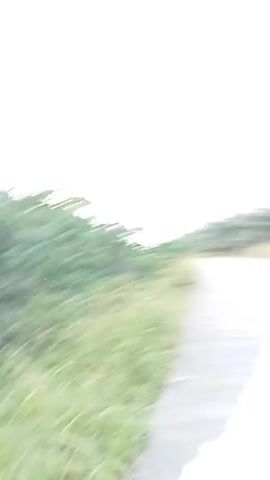 The video shows a close-up of a person wearing a light blue t-shirt and a black baseball cap with a white logo. They have earbuds in their ears and are looking towards the right side of the frame. The background is blurred but appears to be an outdoor setting with palm trees lining a paved road. The camera is moving, likely held by the person in the video, creating a sense of motion.