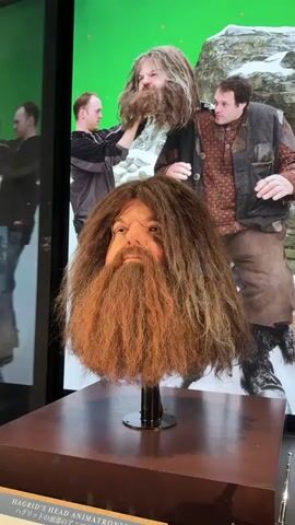 The video shows a static display of an animatronic head of the character Hagrid from the Harry Potter movies. The head is presented on a black stand atop a wooden display case. In the background is a large screen showing a behind-the-scenes image of the creation of the character with two men holding and adjusting what appears to be a similar animatronic head on a green screen set with a snowy backdrop. The display is lit with even lighting. The text "Hagrid's Head Animatronic" is visible in the bottom left corner of the screen.