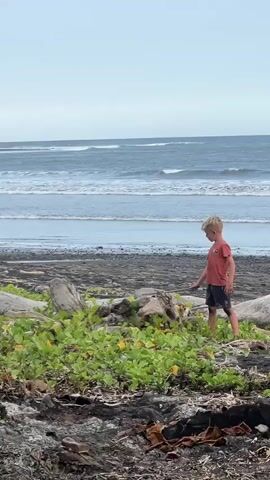 A young boy with blond hair wearing a red t-shirt and dark shorts is on a beach, bent over and poking at the ground with a stick. He is surrounded by green plants and driftwood. In the background, there is the ocean with waves and a gray sky. To the left, a person carrying a surfboard walks towards the shore.