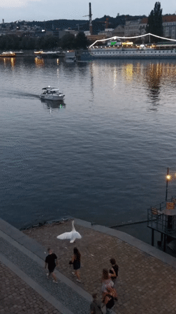 Prague, Czechia