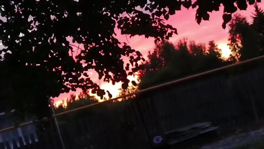 The video shows a silhouetted view of trees and foliage against a vibrant pink and orange sunset sky. A dark wooden fence is visible in the foreground, with a horizontal pipe running along the top. The scene appears to be outdoors, possibly in a rural or backyard setting, as indicated by the fence and the presence of a small, indistinct object resembling a purple flower on the ground. The overall mood is serene and picturesque.