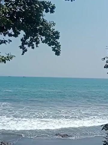 The video shows a view of the ocean from a beach. There are trees in the foreground on the left side of the frame. The ocean is blue and there are waves crashing on the shore. The sky is clear and blue. There are no people visible in the video. The camera is stationary.