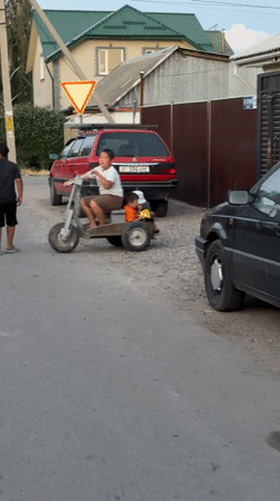 Freight yards, stray dog, and quiet streets in Kant, Kyrgyzstan
