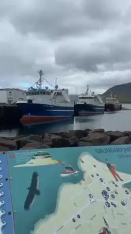 Here is a concise description of the scene in the video:

The video shows a harbor scene in Grundarfjörður, Iceland, on an overcast day.  Three fishing boats are docked at the pier. In the foreground, a tourist information sign displays a map of Grundarfjörður.  The map features illustrations of a kayaking activity, a person hiking, and a bird in flight. The landscape in the background includes some hills.