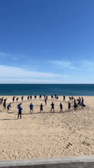 Group fitness session held on Barcelona beach