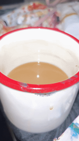 Evening beverage moments captured in Cape Coral, Florida