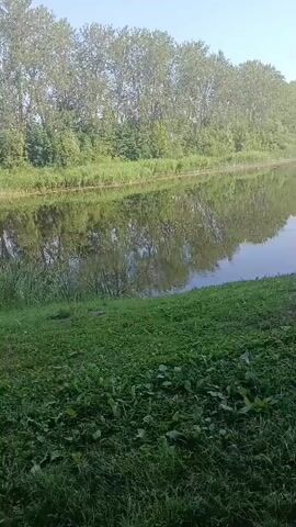 A wide shot captures a serene landscape with a calm body of water on the left side of the frame. The water reflects the lush green trees that line the opposite bank, creating a mirror image of the vegetation. The grass in the foreground is vibrant and green, indicating a natural, perhaps park-like setting. In the distance, across the water, a multi-story building with red brickwork is visible, partially obscured by trees and foliage. The sky above is a clear, pale blue, suggesting fair weather. The overall scene evokes a sense of peace and tranquility, typical of a quiet day by the water.
