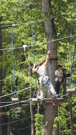 Morning recreation captured: ropes course activity and dog walking