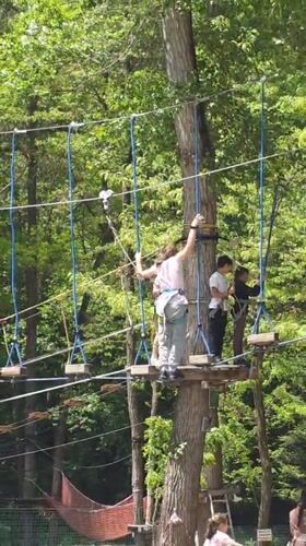 Morning recreation captured: ropes course activity and dog walking