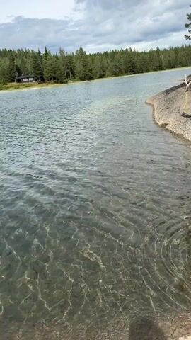 The video shows a body of water, likely a lake, with a shoreline in the foreground. The water is clear enough to see rocks and pebbles on the bottom. On the opposite shore, there is a dense forest of evergreen trees. A small, dark-colored building, possibly a cabin, is visible among the trees. The sky is cloudy. The camera perspective is low, close to the water's surface, and pans slightly to the right. There is no visible human presence.