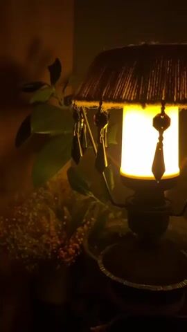 THE VIDEO SHOWS A CLOSE-UP SHOT OF A LAMP WITH A SHADE MADE OF TWINE. CRYSTAL PENDANTS HANG FROM THE SHADE. THE LAMP IS LIT, EMITTING A WARM, YELLOW GLOW. BEHIND THE LAMP, A LARGE LEAFY PLANT AND A VASE OF SMALL, ORANGE FLOWERS ARE VISIBLE. THE BACKGROUND IS DARK, WITH A FAINT SHADOW OF THE PLANT ON THE WALL. THE CAMERA REMAINS STILL THROUGHOUT THE VIDEO.