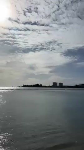 The video shows a beach scene on a sunny day. The water is calm, and there are buildings in the distance across the water. The camera pans to the right to reveal a beach with palm trees and other greenery. There is a white beach chair on the ground, and a man walks by in the background.