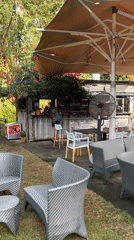 Horses roam freely through restaurant patios in Kuta Selatan