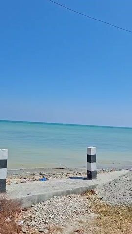 A video begins showing a clear blue sky and a calm turquoise sea. In the foreground, there is a pile of debris on the shore, including driftwood and what appears to be plastic waste. Several black and white striped posts stand along the waterline, likely serving as markers or barriers. The camera pans slowly to the right. As the video continues, the sea remains visible, and more of the debris is shown. Trees with green foliage are present on the right side of the frame, with some branches extending over the water. The camera continues to pan, revealing a sign attached to a tree on the right that reads "WARUNG ALMIRA" and another sign on the right that appears to be partially visible and potentially damaged. The video ends with a shot of the sea and the sky, with the trees and signs still in view.