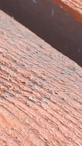 The video shows a close-up, low-angle shot of a textured reddish-brown surface, possibly wood. In the lower left quadrant, a small black ant is visible walking across the surface. The ant moves from left to right in the frame. The surface appears to be outdoors, with some debris scattered around the ant. The lighting suggests it is daytime.