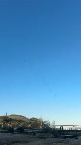 The video shows a large flock of birds flying in formation across a clear blue sky. In the background, a landscape with trees, some buildings, a bridge, and a few people can be seen. Cars are parked in an area close to the vegetation.
