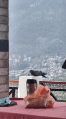 Morning scenes captured across Vashisht valley and construction sites