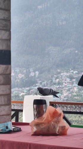 Morning scenes captured across Vashisht valley and construction sites