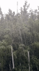Heavy downpour hits Saint Petersburg industrial area