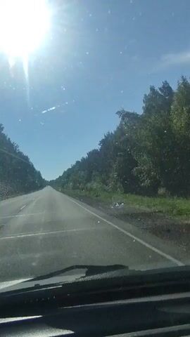 The video shows a point-of-view shot from inside a vehicle traveling on a paved road. The road is flanked by trees and vegetation on both sides, with a bright sun shining in the upper left corner of the frame. The sky is clear and blue. The perspective suggests movement forward, with the road extending into the distance. There are no other vehicles or people visible in the immediate vicinity. The interior of the vehicle is partially visible in the foreground, including a windshield wiper. The overall environment appears to be a rural or suburban setting during daylight hours.