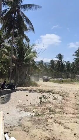 Two military trucks are driving down a dirt road lined with palm trees. The trucks are kicking up dust as they travel. There is a scooter parked on the left side of the road. The sky is blue with some clouds.