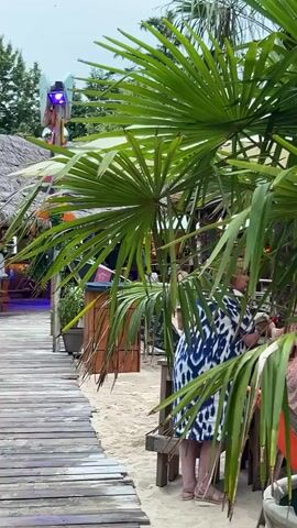 This video captures a lively scene at a beach bar or outdoor restaurant in Herford, Germany. The camera is positioned behind lush green palm fronds, offering glimpses of the activity unfolding. In the foreground, a wooden walkway leads towards a sandy area with tables and chairs.

Several people are visible, though their faces are not clearly discernible due to the foliage and the distance. One woman in a blue and white patterned dress is standing near a table, possibly ordering or conversing. The overall atmosphere appears casual and relaxed, suggesting a pleasant day out.

Scattered across the sand are deck chairs, some of which display visible text. One chair in the foreground has "Herforder" printed on it, indicating a possible sponsorship or connection to the Herforder beer brand. Another chair in the background features a yellow logo with the word "SUN".

The setting is an outdoor venue, likely a beach bar or a similar establishment, with sand as the ground cover and palm trees providing a tropical ambiance. The presence of umbrellas and a covered structure suggests an area designed for patrons to relax and enjoy themselves. The lighting indicates it's daytime, possibly late afternoon or early evening, with a bright, overcast sky. The overall impression is one of a vibrant, social gathering in a relaxed, beach-like environment.