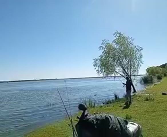 The scene is a serene, sun-drenched landscape featuring a wide body of water under a clear blue sky. The water surface is rippled, indicating a slight breeze. Along the shoreline, green grass leads to a stand of trees on the right. A lone person, seen in silhouette, stands near a tree on the shoreline. A fishing rod is propped up in the foreground, next to a quad bike covered with what appears to be camping gear.