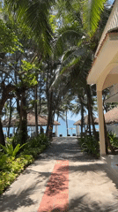 Tropical resort scenes captured in Vietnam's Dong Ninh Hoa Ward
