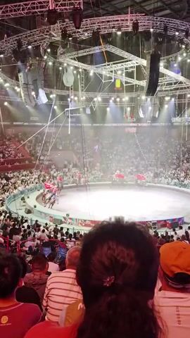 The video shows a wide shot of a circus performance. In the center of the frame, a circular arena is illuminated, with several performers on horseback. The riders are wearing red costumes and are positioned around the arena. They appear to be performing a synchronized act, with the horses trotting or cantering. Spectators are visible in the foreground, seated in tiered seating around the arena. The lighting in the arena is bright, with spotlights focused on the performers. The overall environment suggests an indoor stadium or arena.