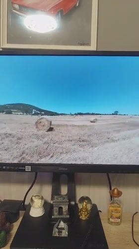 Backbends in a hay field, bulldog naps at home
