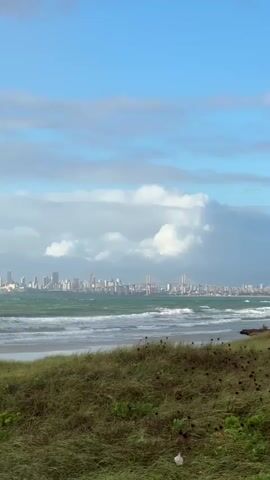A low-angle, vertical shot captures a beach with tall, green grass in the foreground. In the middle ground, a turquoise ocean with choppy waves rolls towards the shore. In the background, a city skyline with numerous skyscrapers and two bridges is visible under a bright blue sky dotted with white, fluffy clouds. The scene is calm and tranquil.