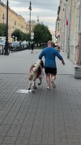 Saint Petersburg, Russia