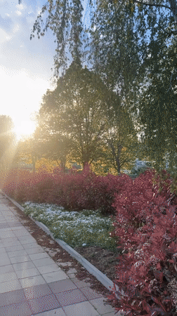 Afternoon scenes captured in Zlatograd, Bulgaria during golden hour