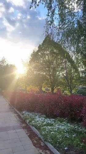 Afternoon scenes captured in Zlatograd, Bulgaria during golden hour