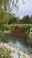 Woman in yellow jacket tours Fethiye parks on cloudy morning
